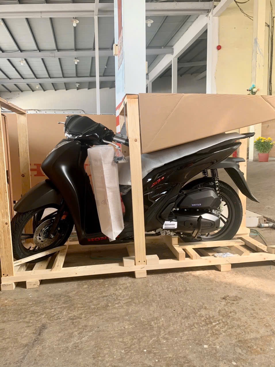 phân biệt sh ý và sh việt nam